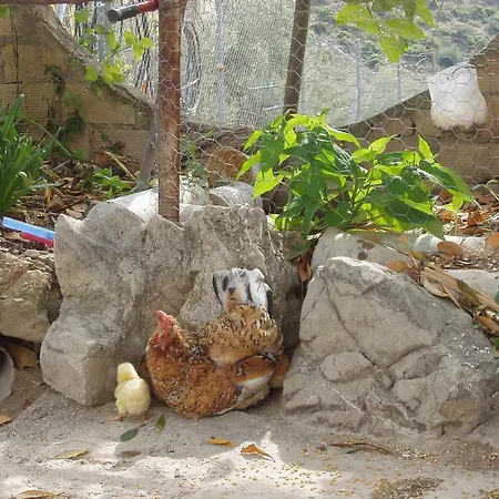 El Rincon De Carmen Landhuis