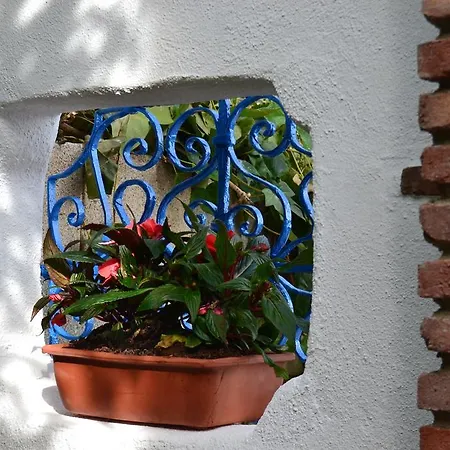 Landhuis El Rincon De Carmen Rute