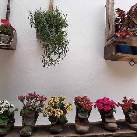 El Rincon De Carmen Landhuis *